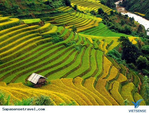 Sapa mùa hè có gì đẹp? nên đến đâu và cần chuẩn bị những gì? - Ảnh 1 Sapa mùa hè có gì đẹp? nên đến đâu và cần chuẩn bị những gì? - Ảnh 1