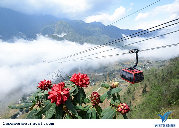 Lễ hội hoa Đỗ quyên núi Hoàng Liên,