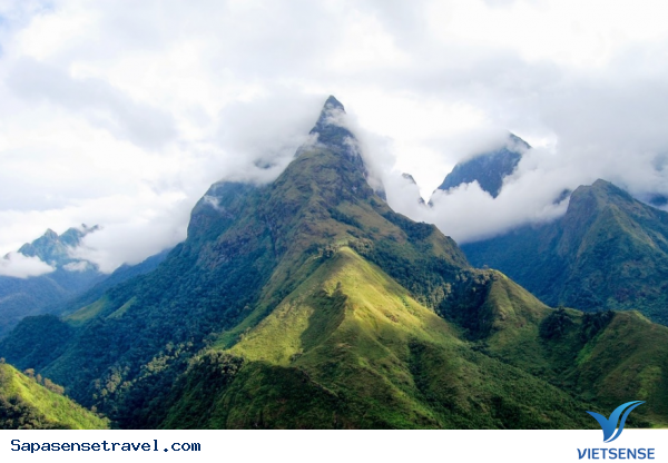 Khám phá đỉnh Ngũ Chỉ Sơn Sapa - Ảnh 3