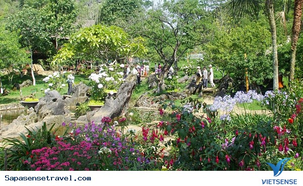 Kinh Nghiệm Khám Phá Sapa tự túc - Ảnh 5