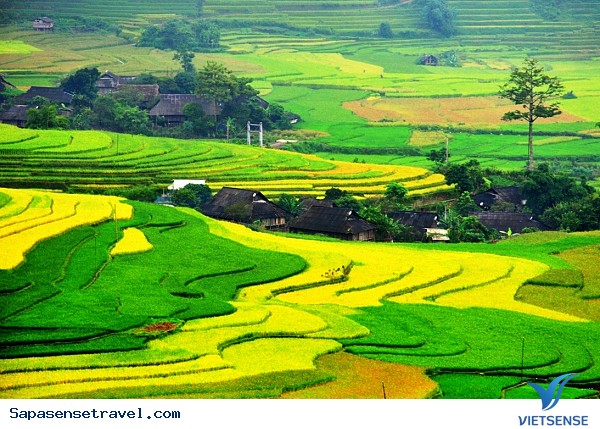 Kinh Nghiệm Khám Phá Sapa tự túc - Ảnh 4