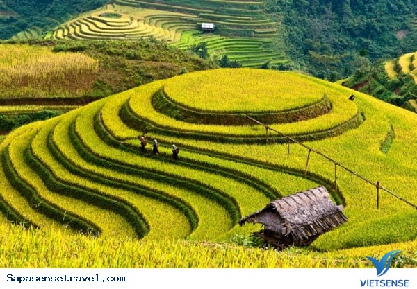 Tham quan nhà thờ cổ Sapa - Ảnh 3 Tham quan nhà thờ cổ Sapa - Ảnh 3