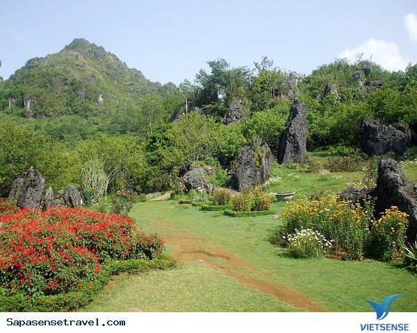 Tham quan núi Hàm Rồng Sapa - Ảnh 6 Tham quan núi Hàm Rồng Sapa - Ảnh 6