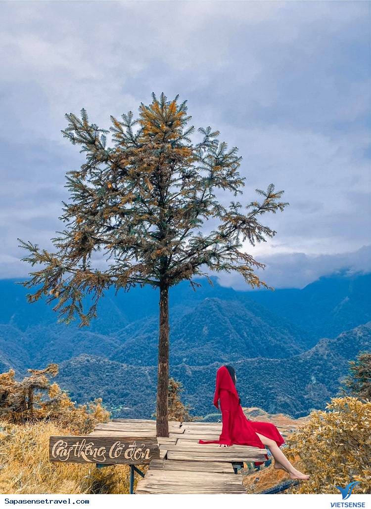 1. Swing Sapa - Ảnh 4 1. Swing Sapa - Ảnh 4