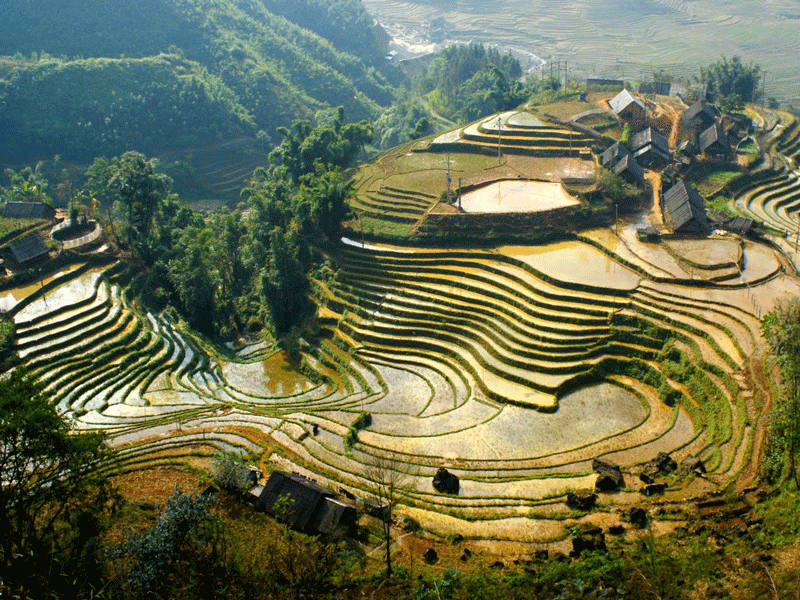 Bản Tả Van Bản Tả Van
