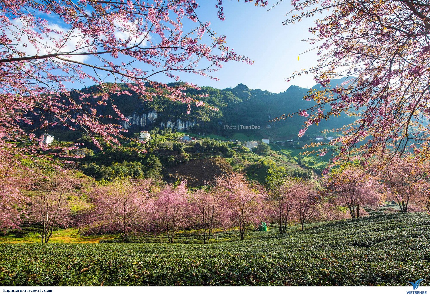 1.MÙA XUÂN - Ảnh 1