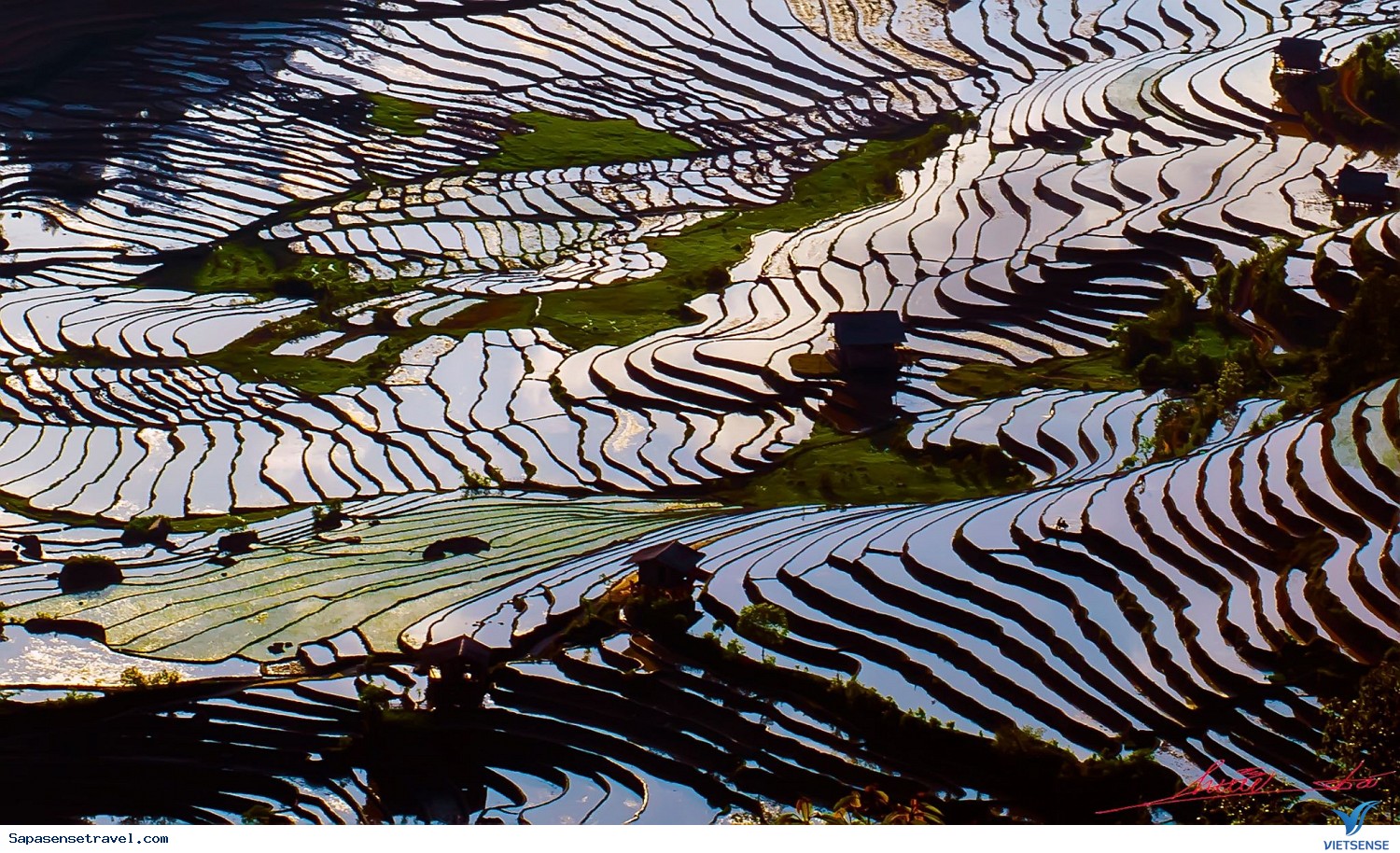 1.MÙA XUÂN - Ảnh 3