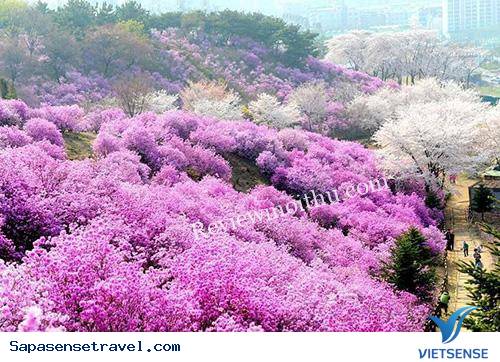 1.	Nên đi Sapa vào thời điểm nào? - Ảnh 1