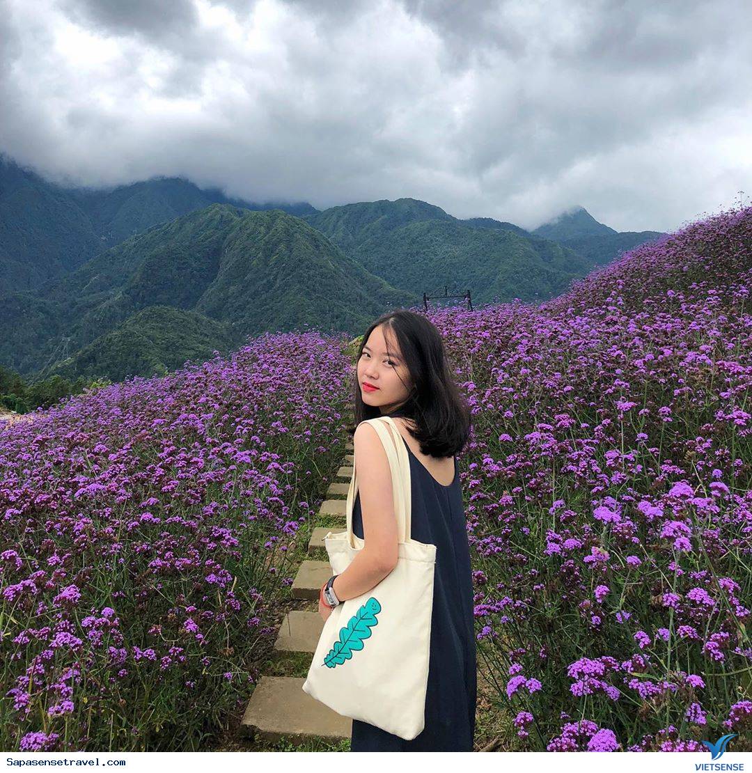 2.Mặc gì khi đi thăm quan Sapa mùa hạ? - Ảnh 2 2.Mặc gì khi đi thăm quan Sapa mùa hạ? - Ảnh 2