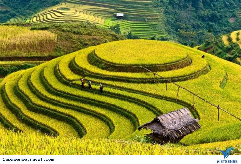 Nên đến Sapa vào thời điểm nào trong năm - Ảnh 2