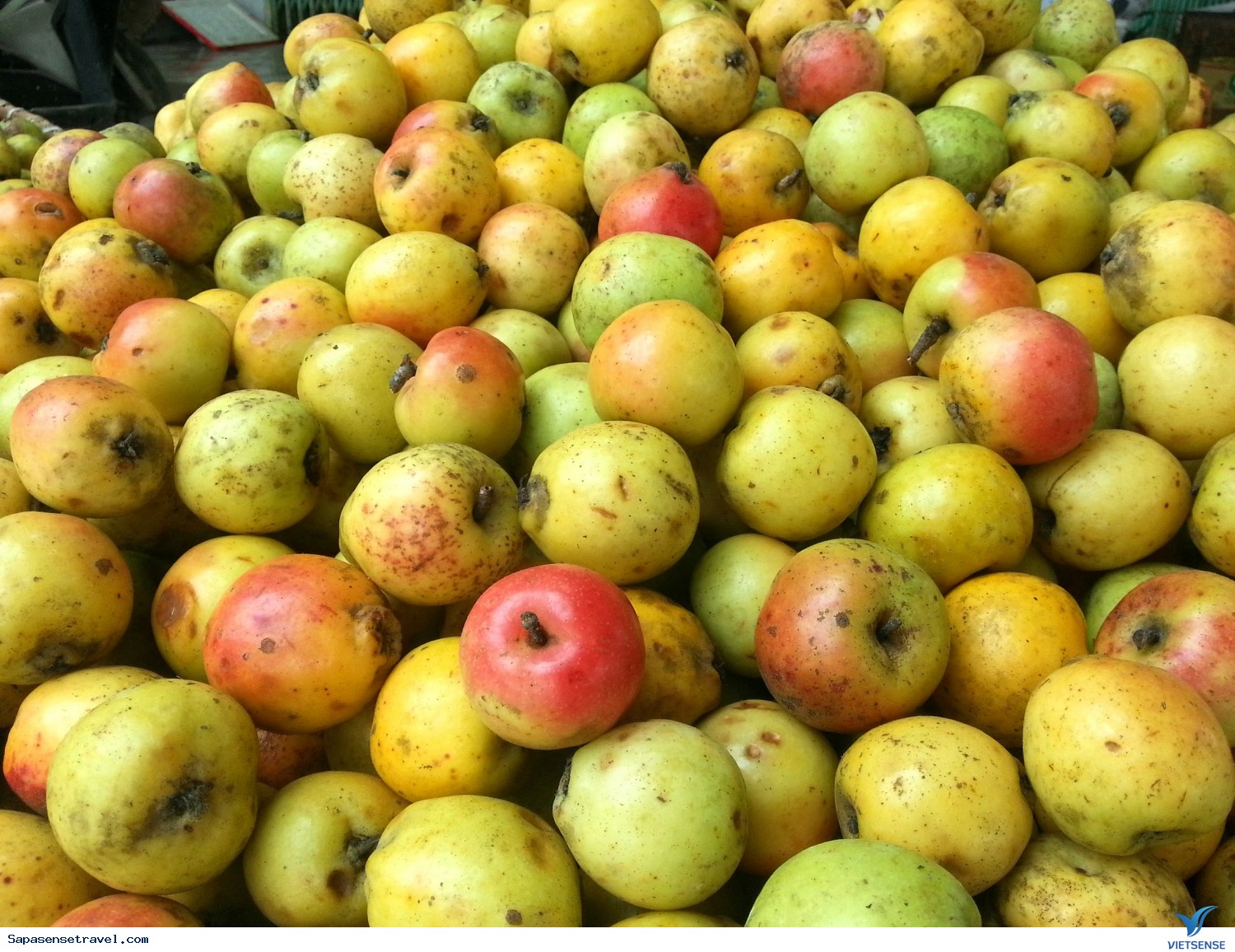 Mua đặc sản Sapa làm quà - Ảnh 2 Mua đặc sản Sapa làm quà - Ảnh 2