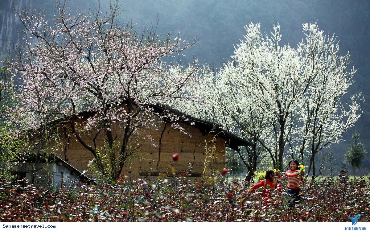 Mùa đông ( từ tháng 12 đến tháng 2) - Ảnh 2 Mùa đông ( từ tháng 12 đến tháng 2) - Ảnh 2