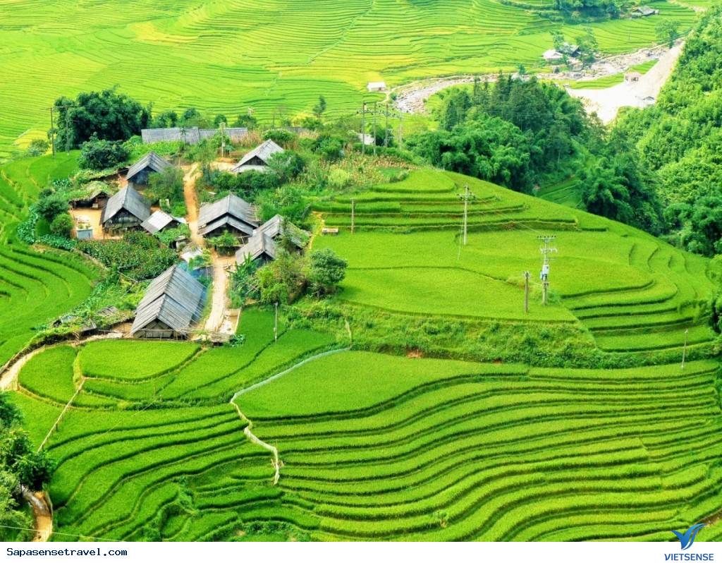 Mùa hè ( từ tháng 6 đến tháng 8) - Ảnh 2 Mùa hè ( từ tháng 6 đến tháng 8) - Ảnh 2