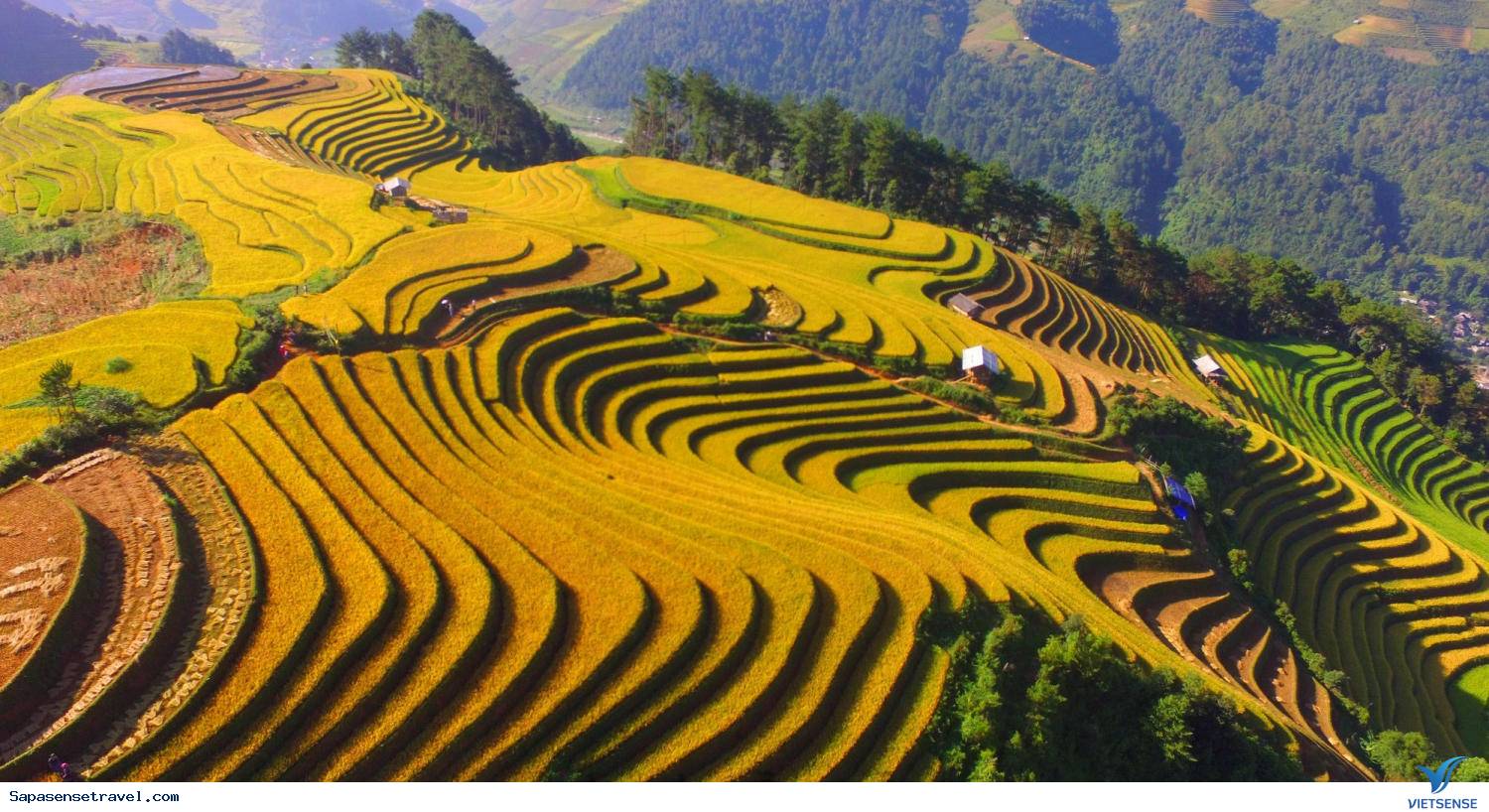 Mùa thu( từ tháng 9 đến tháng 11) - Ảnh 1 Mùa thu( từ tháng 9 đến tháng 11) - Ảnh 1