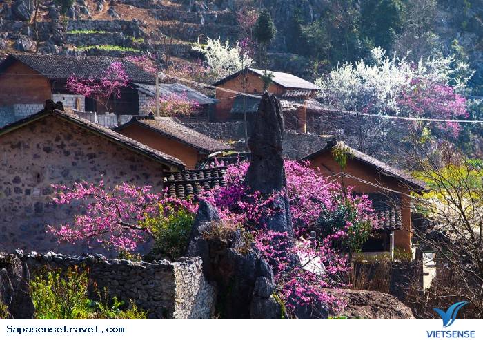 Mùa xuân ( từ tháng 2 đến tháng 5) - Ảnh 1 Mùa xuân ( từ tháng 2 đến tháng 5) - Ảnh 1