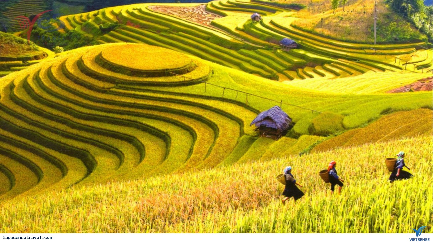 Nên đi thăm quan Sapa vào mùa nào? - Ảnh 2 Nên đi thăm quan Sapa vào mùa nào? - Ảnh 2