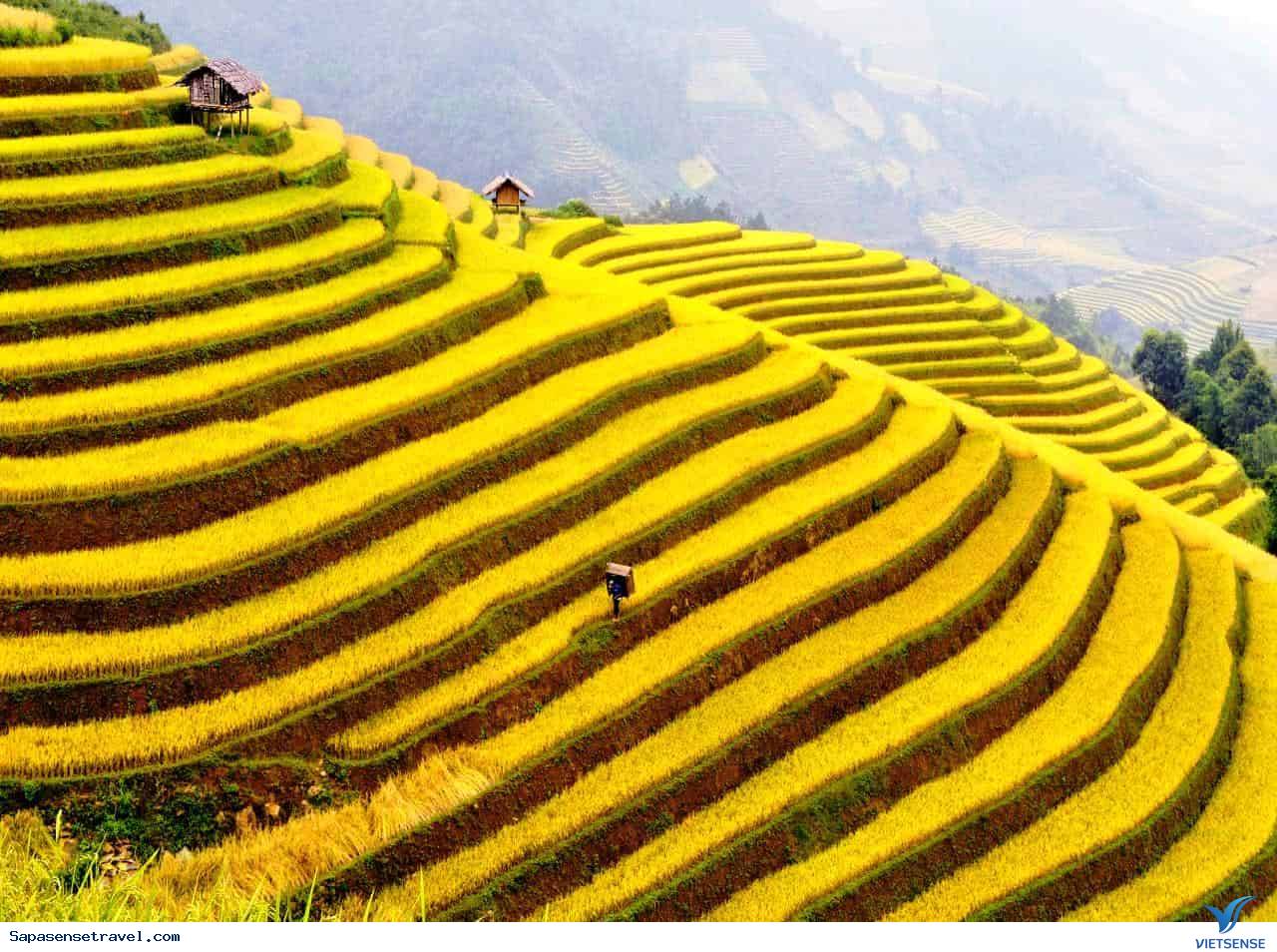 Nên đi thăm quan Sapa vào mùa nào? - Ảnh 3 Nên đi thăm quan Sapa vào mùa nào? - Ảnh 3