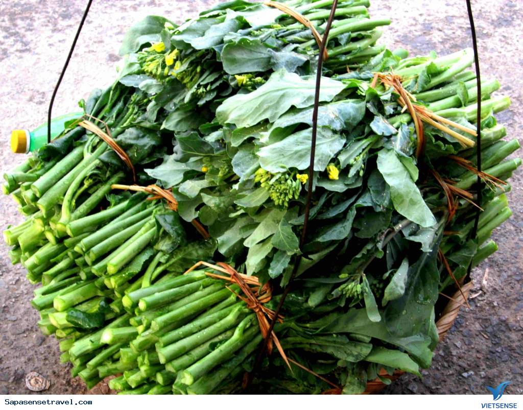 Rau rừng Sapa - Ảnh 1 Rau rừng Sapa - Ảnh 1