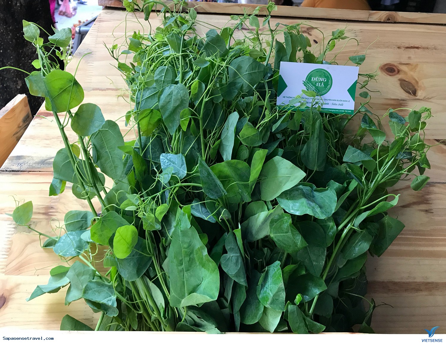 Rau rừng Sapa - Ảnh 2 Rau rừng Sapa - Ảnh 2