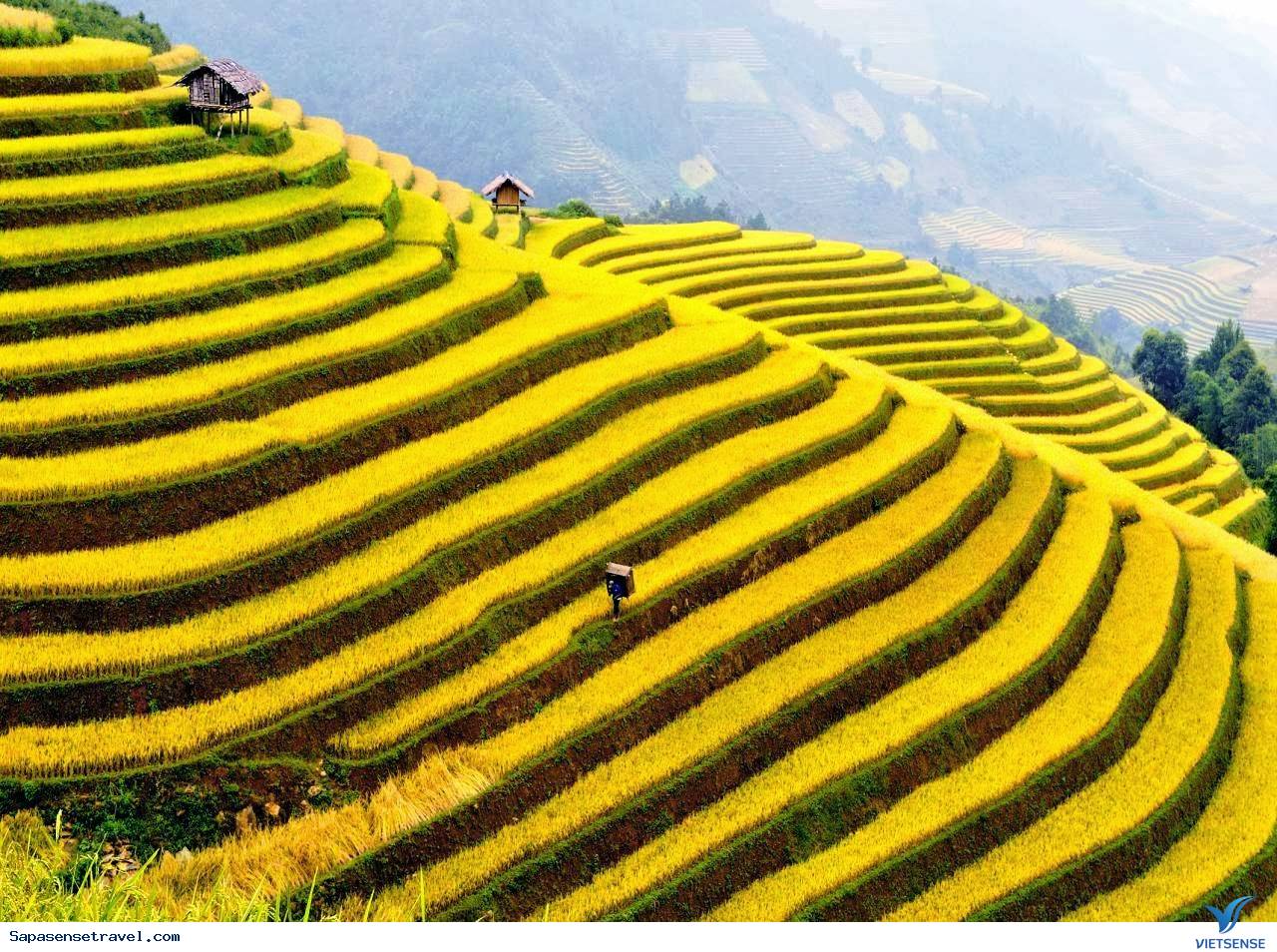 Sapa có gì hấp dẫn? - Ảnh 2 Sapa có gì hấp dẫn? - Ảnh 2