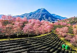 Sapa có gì hấp dẫn? - Ảnh 4 Sapa có gì hấp dẫn? - Ảnh 4