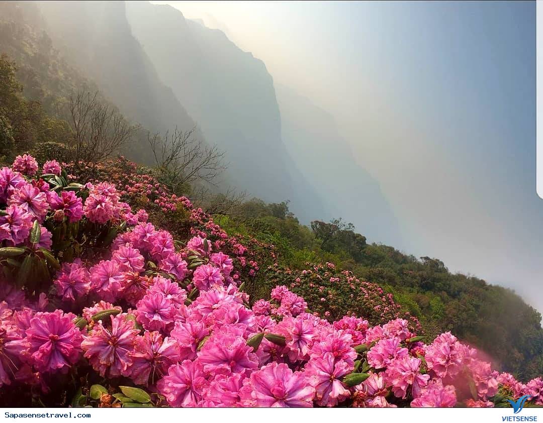 Sapa tháng 3 Sapa tháng 3