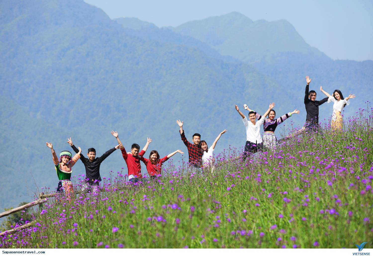 Sapa tháng 3 – Mùa hoa đỗ quyên khoe sắc - Ảnh 2