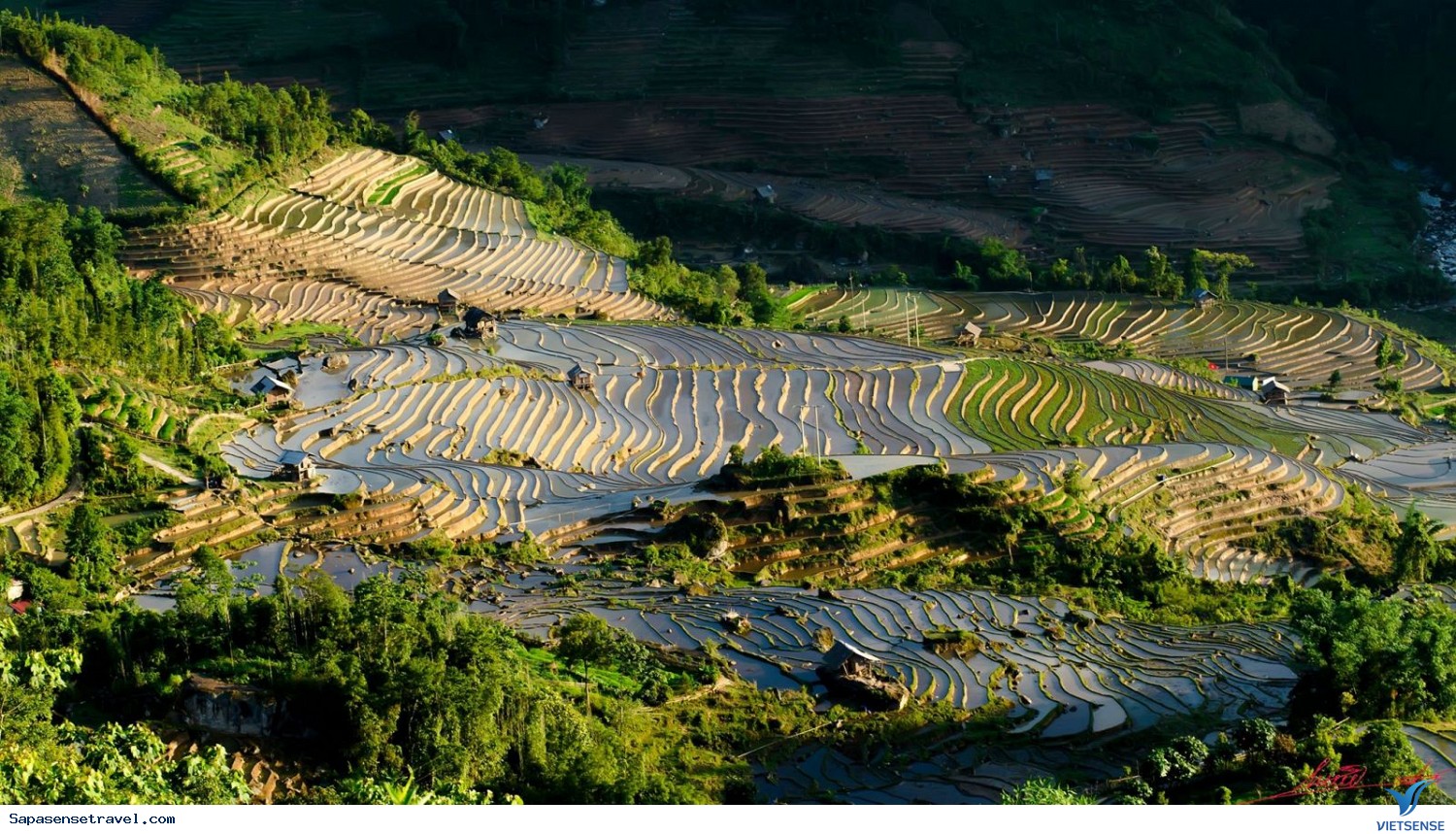 Sapa tháng 3 – Ruộng bậc thang mùa nước đổ Sapa tháng 3 – Ruộng bậc thang mùa nước đổ