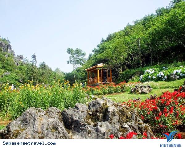 Tham quan núi Hàm Rồng Sapa - Ảnh 3 Tham quan núi Hàm Rồng Sapa - Ảnh 3