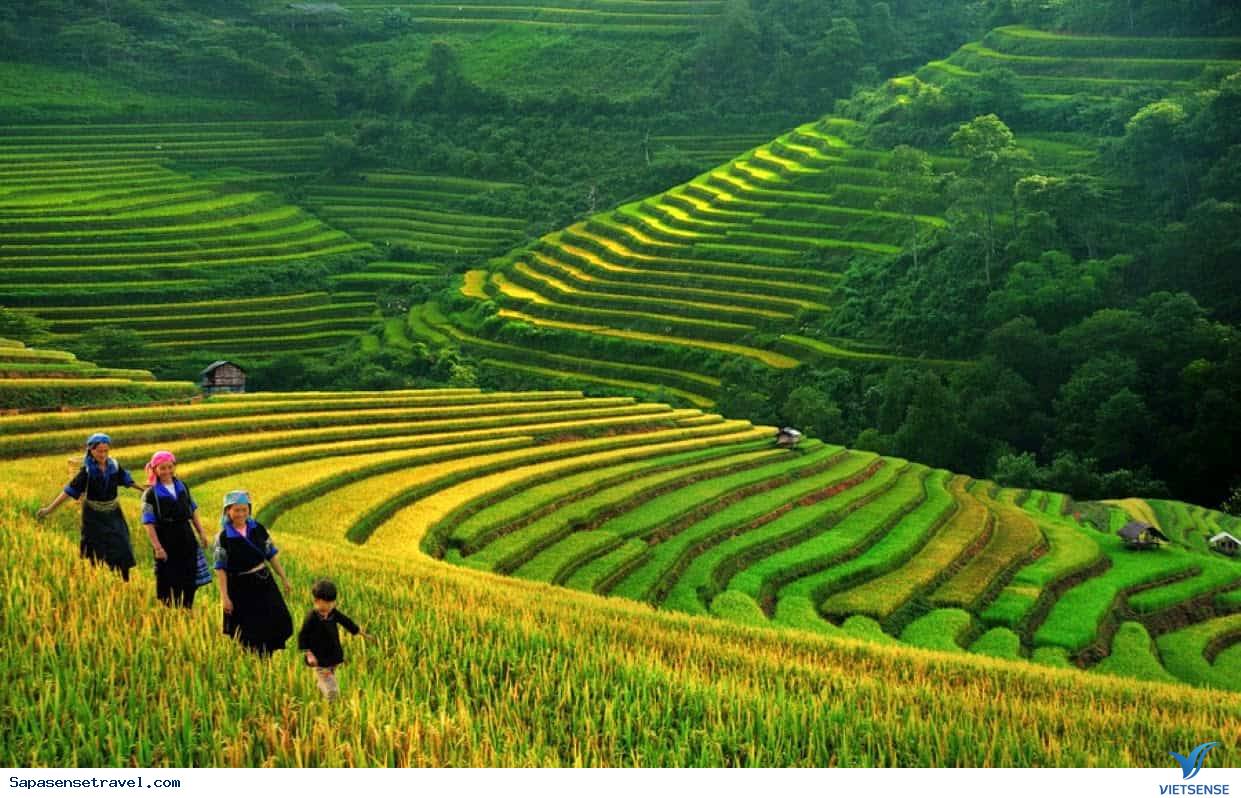 Thời điểm thích hợp để hành trình Sa Pa