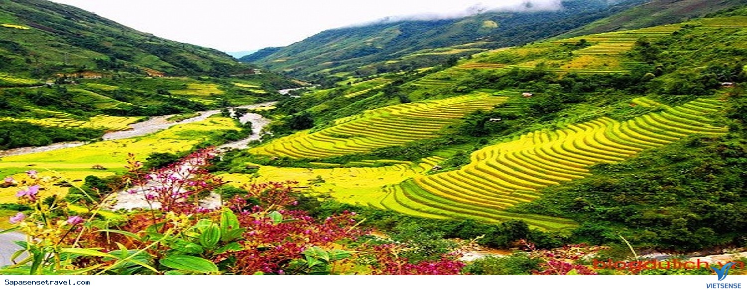 Thung lũng Mường Hoa- Bãi đá cổ Sapa - Ảnh 1 Thung lũng Mường Hoa- Bãi đá cổ Sapa - Ảnh 1