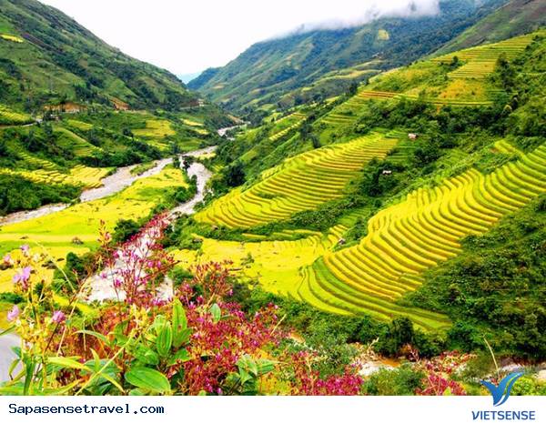 Thung lũng Mường Hoa- vẻ đẹp kỳ diệu của đất trời Sapa