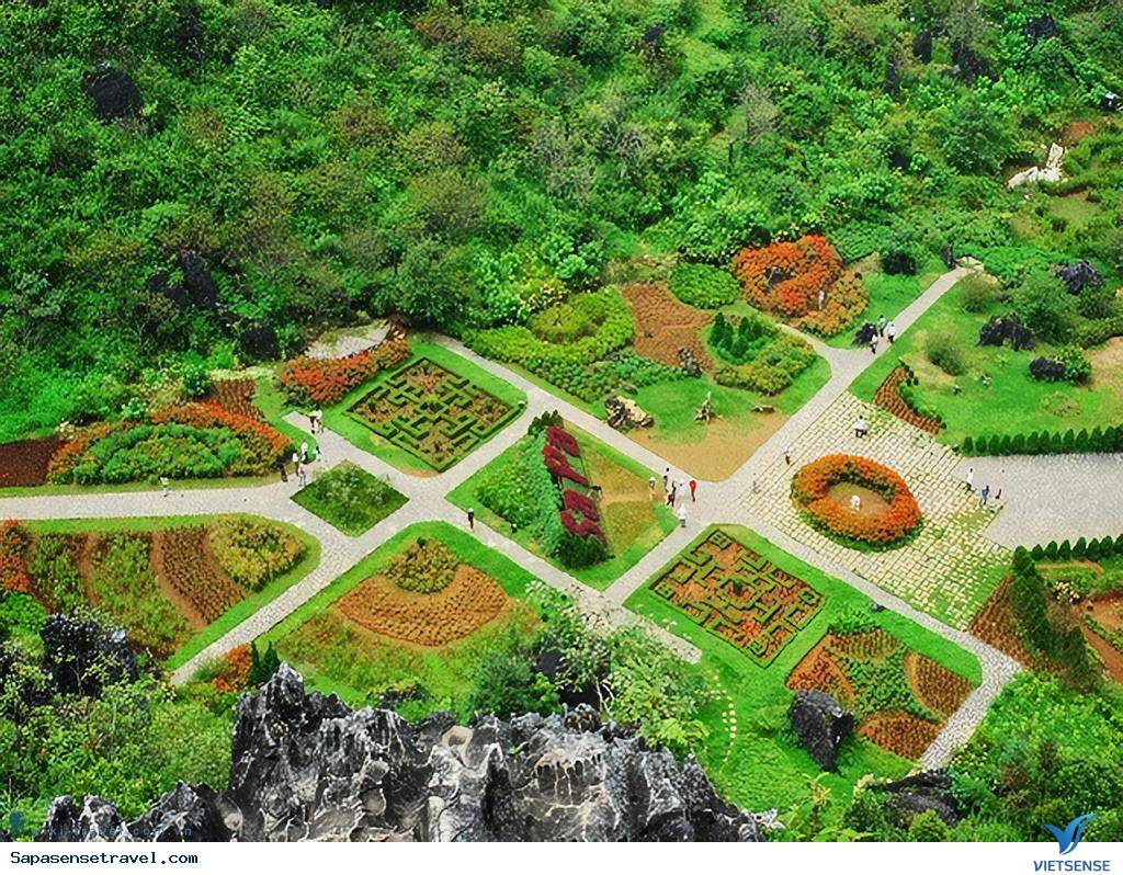 Vườn hoa Hàm Rồng