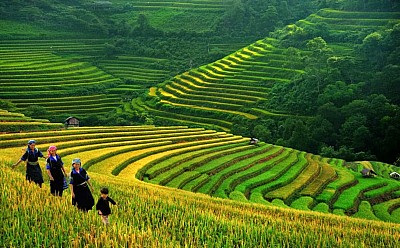 Vì sao Sapa mùa hè tháng 4, 5, 6 là điểm đến lý tưởng trong năm nay Vì sao Sapa mùa hè tháng 4, 5, 6 là điểm đến lý tưởng trong năm nay