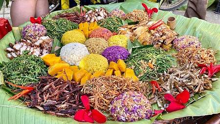 Tổng hợp những món ăn quen thuộc của Sapa và những đồ ăn truyền thống của Sapa.